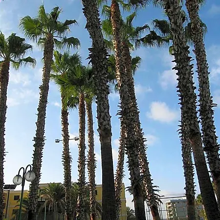 Faluas * Playa del Ingles (Gran Canaria)